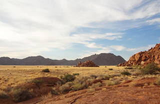 Sundowner Nature Drive Excursion