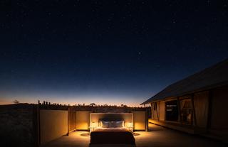 Dune Camp Star Bed