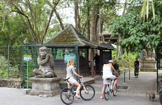 Monkey Forest Entrance