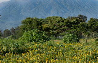 Katambuga House with Mount Meru as backdrop