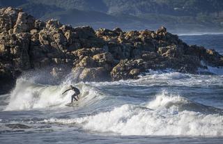 Surf one of the many Blue Flag Beaches Plett has to offer