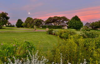 Montusi Gardens at Full Moon