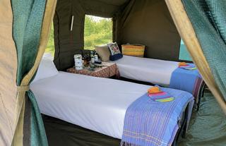 Tent interior 