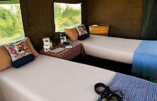 Close up tent interior 