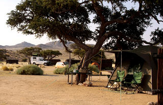 Desert Horse Campsite