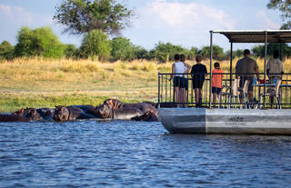 Boat cruise along the Chobe River