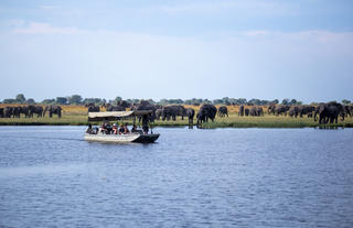 Boat cruise along the Chobe River