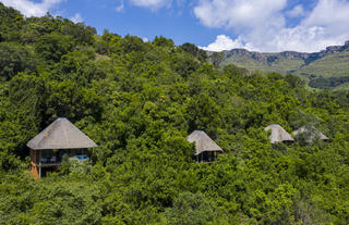 Forest Retreat Spa