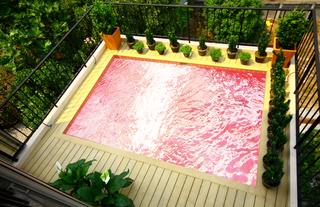 Rooftop Plunge Pool