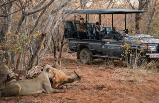 Get your camera ready for a safari experience you will never forget!