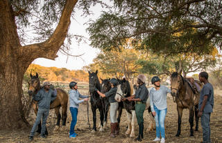 Horse safari activities 