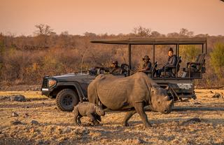 Black Rhino Experience & Game drives 