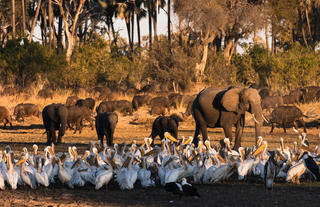 Wilderness Qorokwe