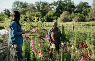 Spier Food Garden 