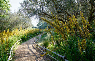 Spier Hotel Cape Floral Walk 