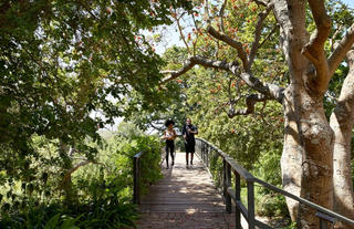 Spier Hotel Walking and Running Route 