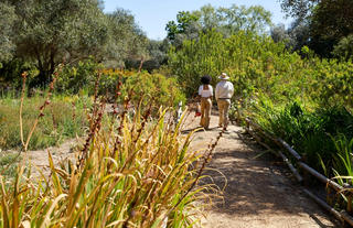 Spier River Walk 