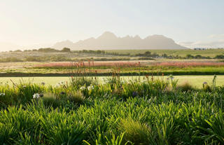 Spier Rewilded Gardens 