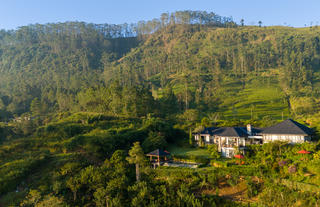 Camellia Hills Aerial
