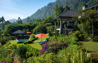Pool and Garden