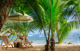 Beach Da Lime
