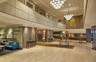 Reception & Lobby area 