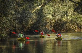 Kayaking