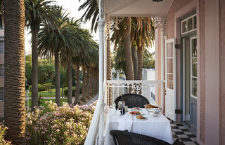 Views of our gardens, palm lined avenue or Table Mountain