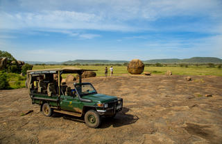 Game drives 