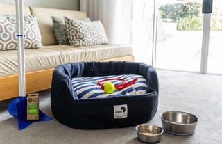 Rooms | Pet Friendly Accommodation