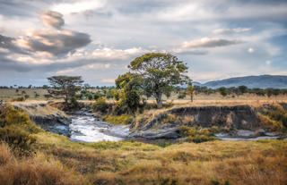 Serengeti Migration Camp