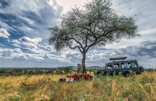 Serengeti Migration Camp