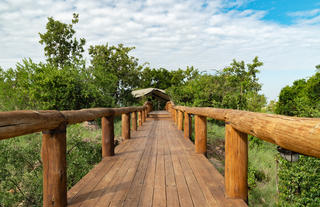 Serengeti Migration Camp