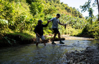 Trekking
