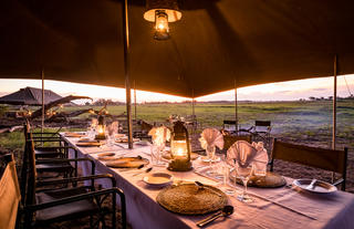 Safari Dining 