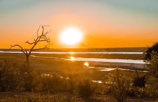 Chobe Sunset