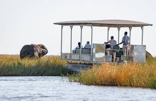 Chobe River Safari