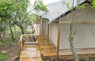 Luxury Safari Tent from the rear