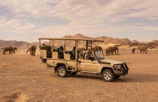 Game Drive