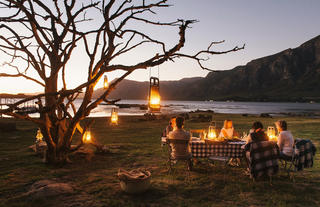 Dinner under the Milkwoods 