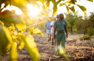 Masuwe Lodge - Activities