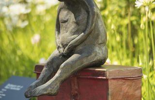 Baboon on a red suitcase - Wilma Cruise