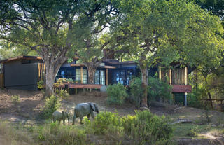 Tengile River Lodge - Suite with Elephant