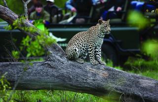 andBeyond Tengile River Lodge