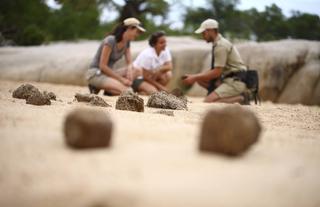 Dulini River - Walking Safari