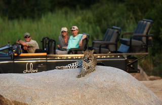 Dulini River - Safari