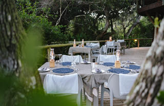 Outdoor evening dining