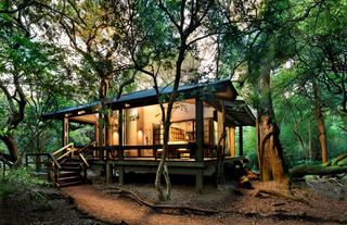 Phinda Forest Lodge Suite Exterior