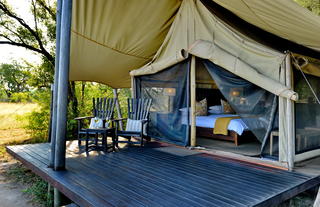 Plains Camp @ Rhino Walking Safaris - Tents