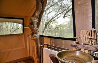 Plains Camp @ Rhino Walking Safaris - Tents